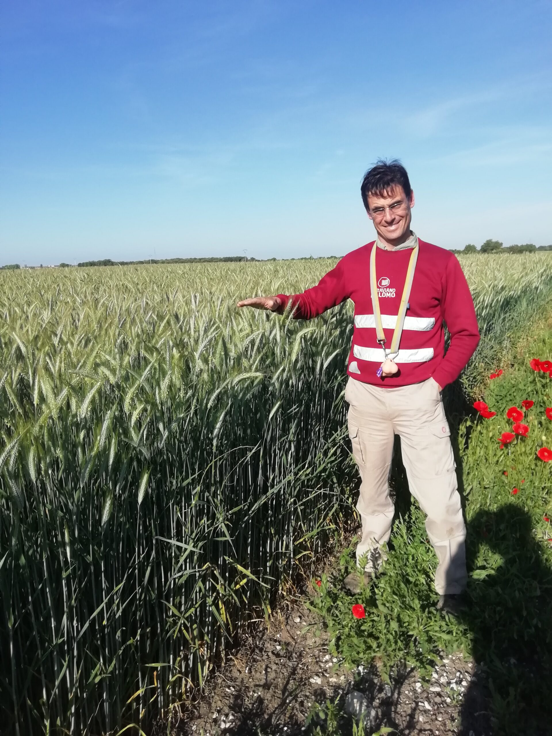 Agricultura de conservación César García de Lucas Consultor en Siembra Directa